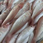 Fresh Threadfin Bream