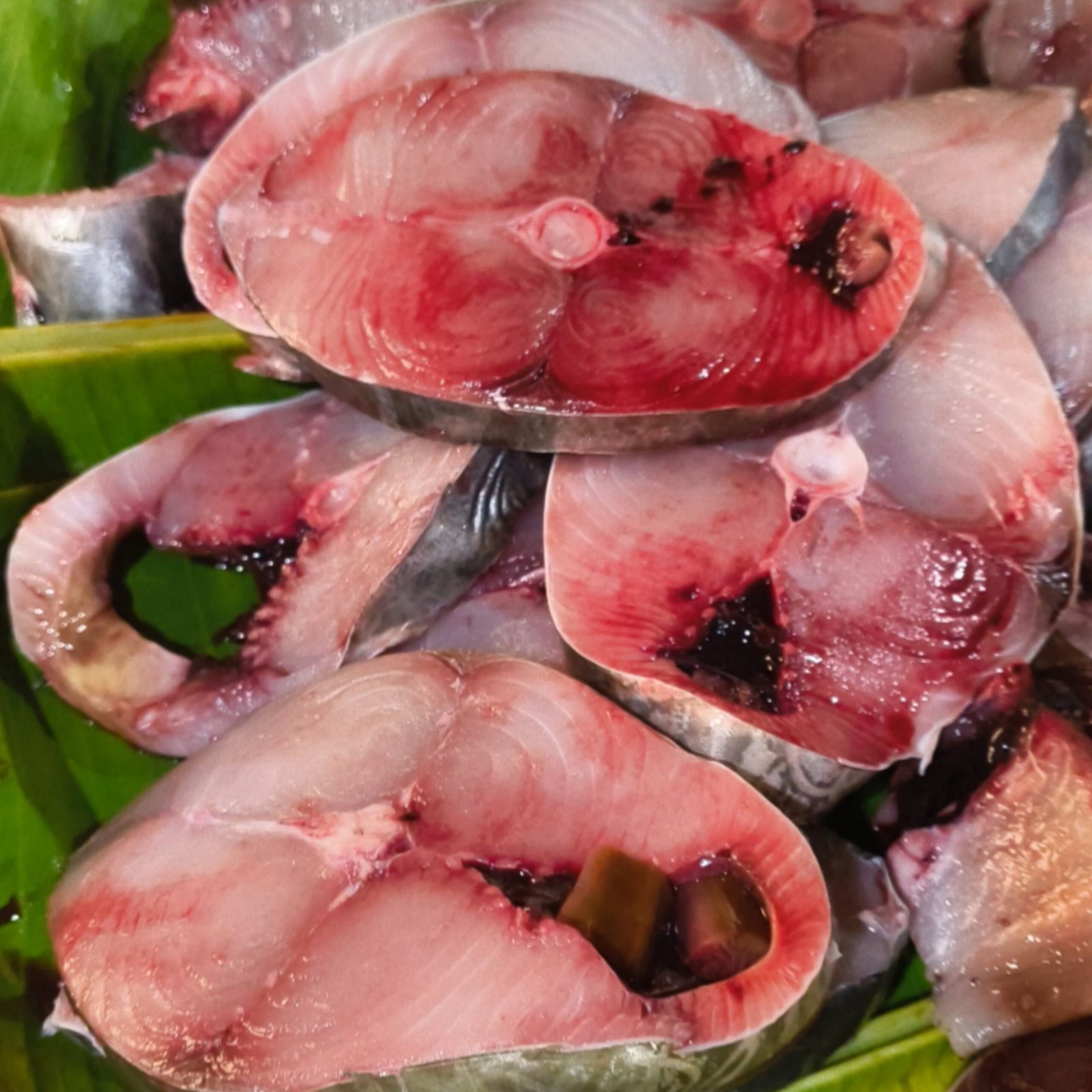 2025/11/1000293816-scaled.jpg Fresh King Fish Slice - Image 1