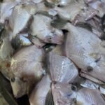Fresh Silver Pomfret Fish