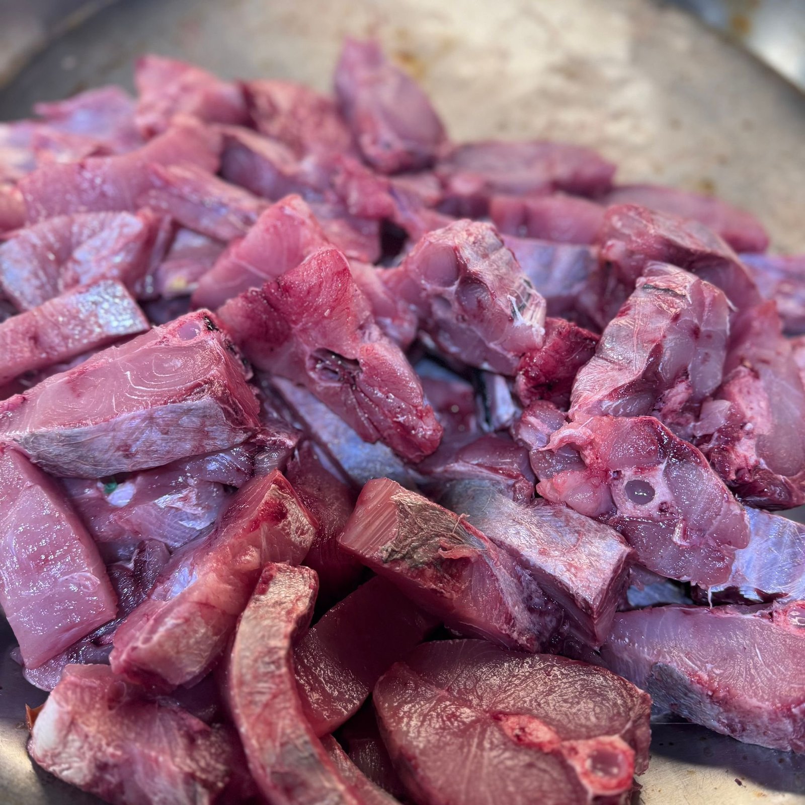 2025/11/1000294837.jpg Fresh Vatta Fish - Image 1