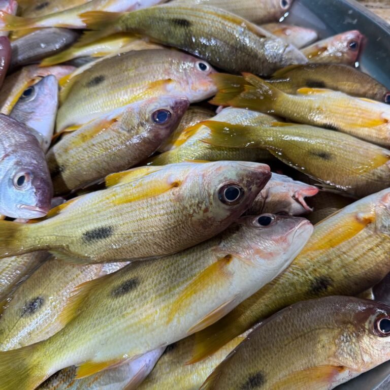 Fresh Naiser Fish – freshminimarketonline.com
