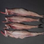 Bombay Duck