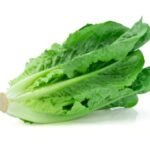 Cos lettuce