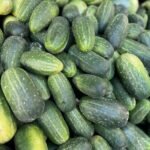 Fresh cucumber White India