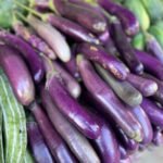 Fresh Eggplant Long
