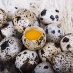 Fresh Quail Eggs 50 pc